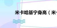 米卡哈基寧身高(米卡哈基寧)
