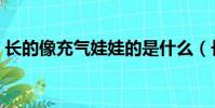 長的像充氣娃娃的是什么(長的像充氣娃娃)