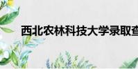 西北農林科技大學錄取查詢入口2021