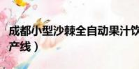 成都小型沙棘全自動果汁飲料生產線(飲料生產線)