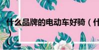 什么品牌的電動車好騎(什么品牌的電動車好)