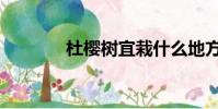 杜櫻樹宜栽什么地方(杜櫻)