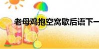 老母雞抱空窩歇后語下一句(先后語)
