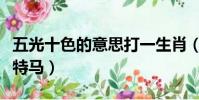 五光十色的意思打一生肖(五光十色開過什么特馬)