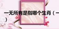 一無所有是指哪個生肖(一無所有是什么生肖)