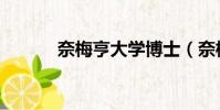 奈梅亨大學博士(奈梅亨大學)