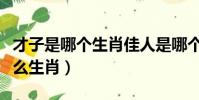 才子是哪個生肖佳人是哪個生肖(才子佳人什么生肖)