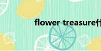 flower treasure什么意思