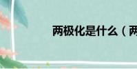 兩極化是什么(兩極化)