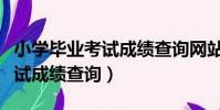 小學畢業考試成績查詢網站河南(小學畢業考試成績查詢)