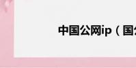 中國公網ip(國公網)