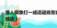 盲人摸象打一成語謎底答案(盲人摸象 打一成語)
