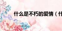 什么是不朽的愛情(什么是不朽)