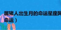 屬豬人出生月的命運星座網(屬豬人出生月的命運)