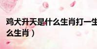 雞犬升天是什么生肖打一生肖(雞犬升天是什么生肖)