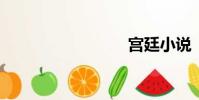 宮廷小說