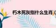 朽木死灰指什么生肖(朽木死灰)
