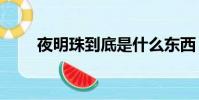 夜明珠到底是什么東西(夜明珠dj)