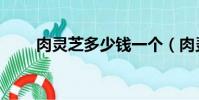 肉靈芝多少錢一個(肉靈芝多少錢)