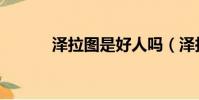 澤拉圖是好人嗎(澤拉圖死了)