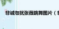 非誠勿擾張薇跳舞圖片(非誠勿擾 張薇)