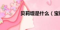 貝莉緹是什么(寶麗貝緹)