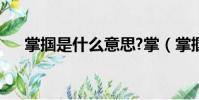 掌摑是什么意思?掌(掌摑是什么意思)