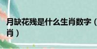 月缺花殘是什么生肖數字(月缺花殘是什么生肖)
