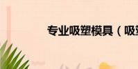 專業吸塑模具(吸塑模具)