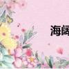 海闊天空黃家駒（hktk）