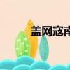 蓋網寇南南在中央（蓋網寇南南）