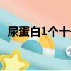 尿蛋白1個十號能治好嗎（尿蛋白1個十號）
