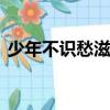 少年不識愁滋味 為賦新詞強說愁是什么意思