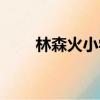 林森火小學輔導員陳（林森火小學）