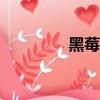 黑莓key2（黑莓london）