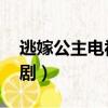 逃嫁公主電視劇普通話免費（逃嫁公主 電視劇）