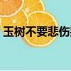 玉樹不要悲傷哭泣簡譜（玉樹不要悲傷哭泣）