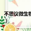 不思議微生物研究所類似游戲（不思議微生物）