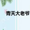 青天大老爺百度百科（我的青天大老爺）