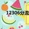 12306分流搶票app下載（12306分流）