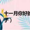 十一月你好的句子發朋友圈（十一月你好的句子）