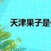 天津果子是什么意思（果子是什么意思）