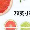 79英寸等于多少厘米（7 9英寸）