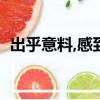 出乎意料,感到特別高興（出乎意料的高興）