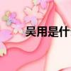 吳用是什么電視人物（吳用扮演者）