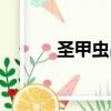 圣甲蟲吊墜（圣甲蟲風暴墜飾）