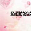 魚翅的泡發方法 視頻（魚翅的泡發）