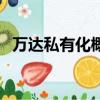 萬達私有化概念股票（萬達私有化概念股）