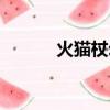 火貓杖幻化有效果嗎（火貓杖）