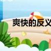 爽快的反義詞是什么?（爽快的反義詞）